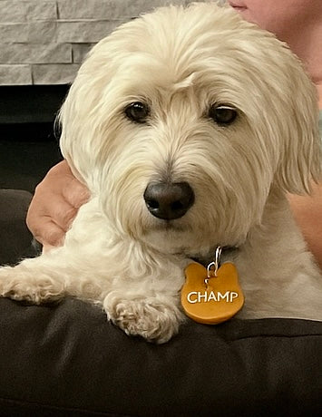 Custom Pet Name Tags