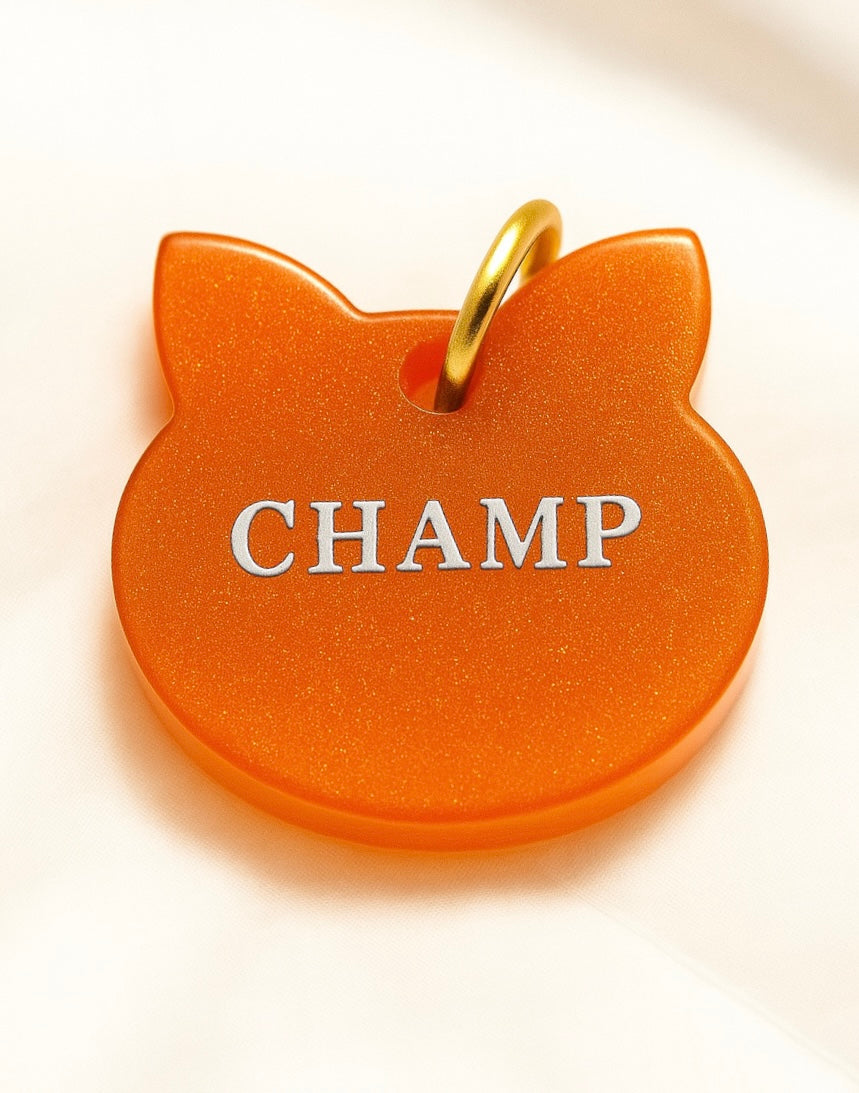 Custom Pet Name Tags