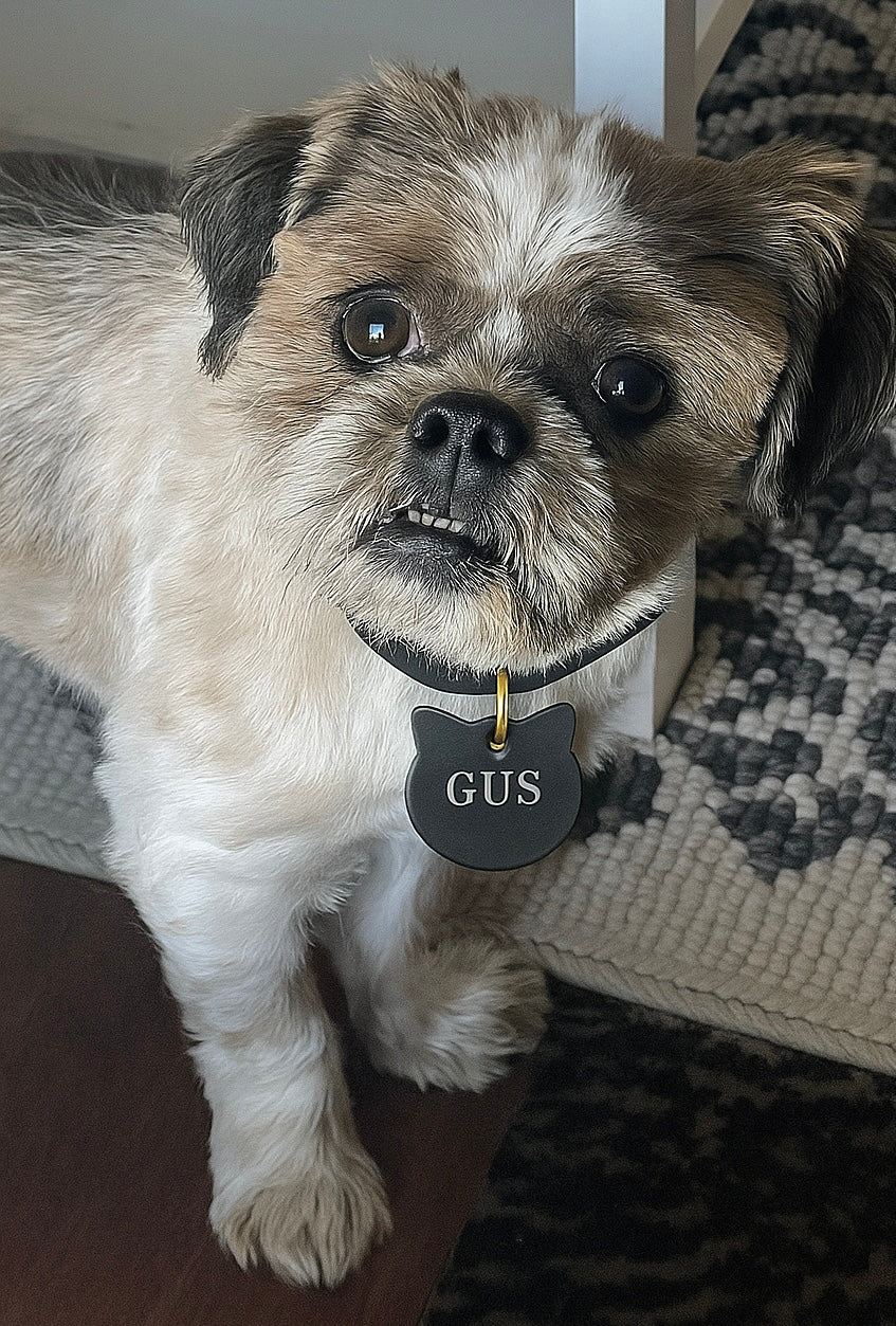 Custom Pet Name Tags