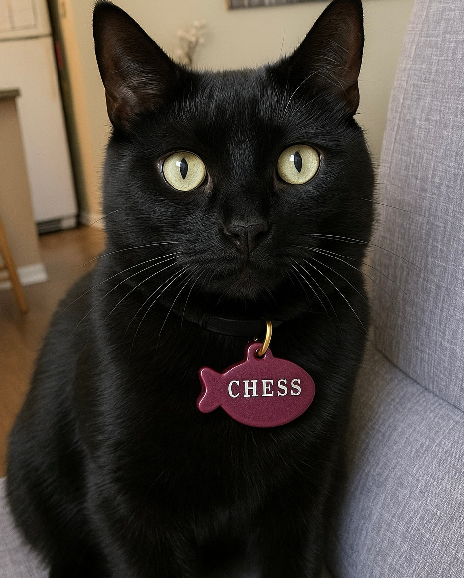 Custom Pet Name Tags