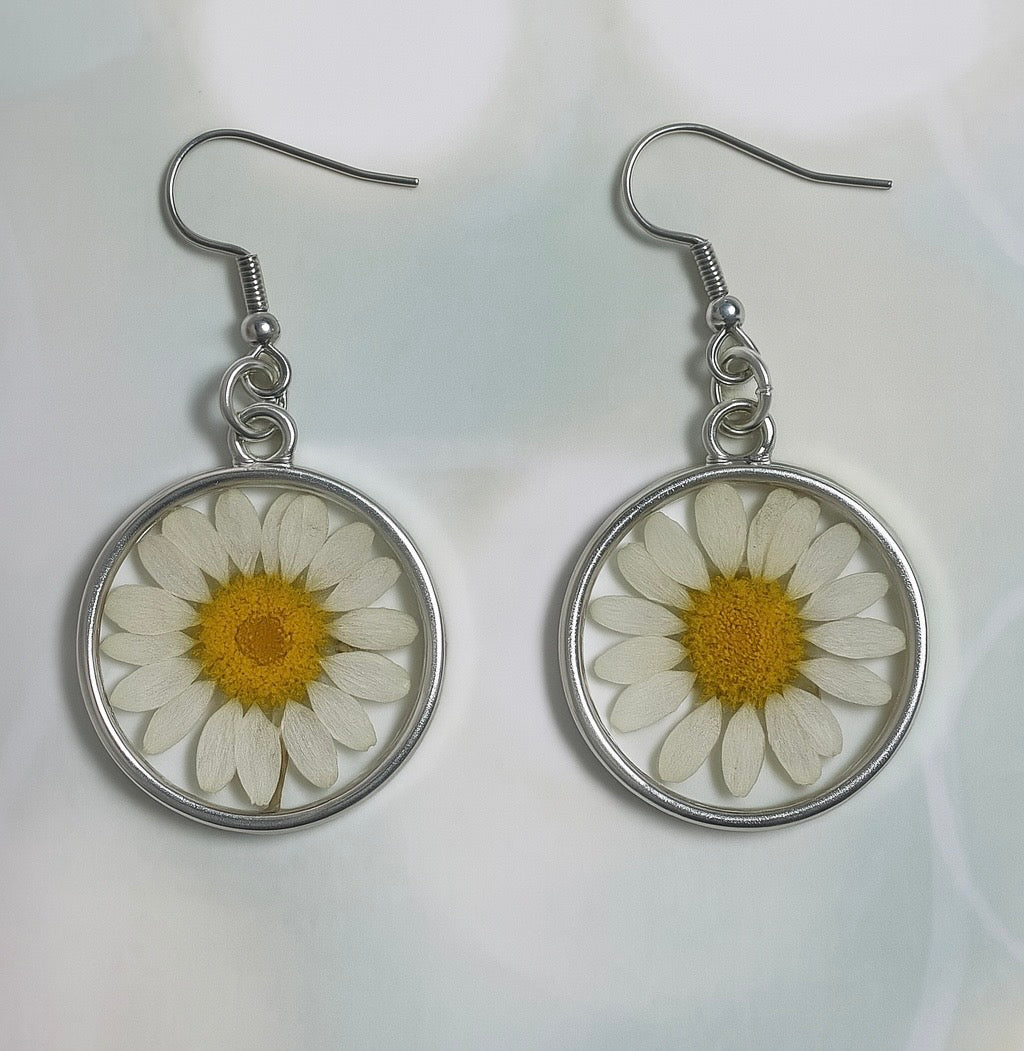 Real Daisy Earrings
