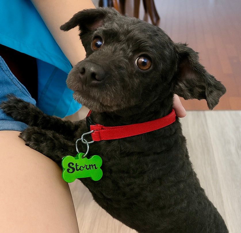 Custom Pet Name Tags